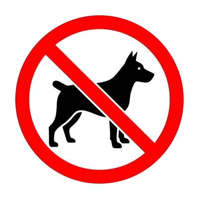 Imagen PNG para descargar